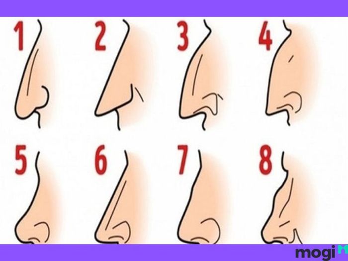 Cách thức nhận diện tướng mũi