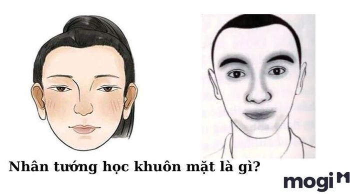 Nhân tướng học qua khuôn mặt