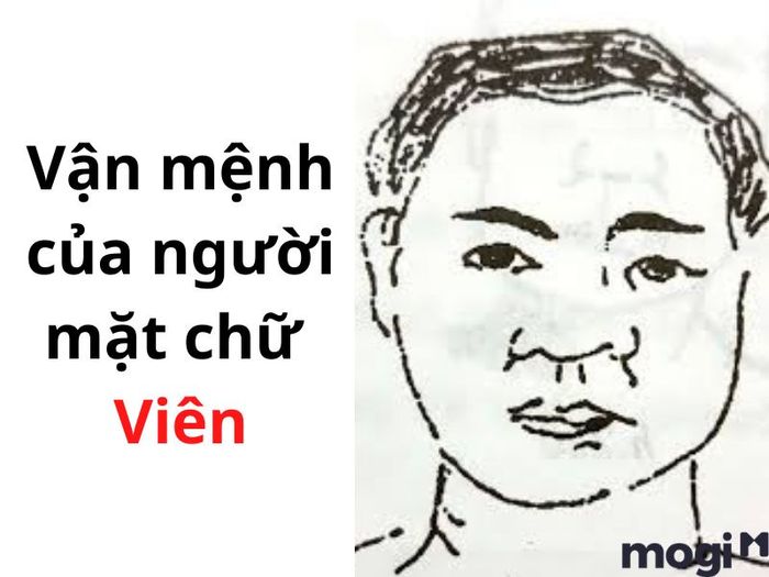 Khuôn mặt chữ viên