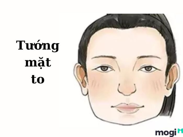 Tướng mặt to