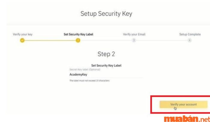 Nhấn vào lệnh “Verify your Account” để tiếp tục