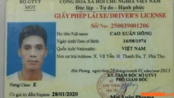 Các loại giấy phép lái xe ô tô