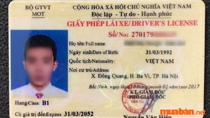 Các loại giấy phép lái xe ô tô hiện nay