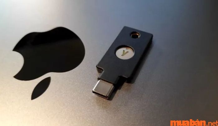 Các sàn thương mại điện tử là lựa chọn phù hợp để bạn có thể tìm mua Yubikey với sự đa dạng về mẫu mã và giá cả.