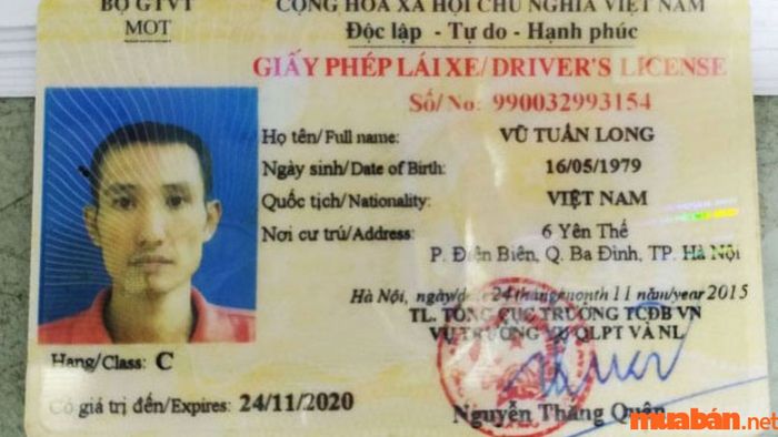 Các loại bằng lái xe ô tô