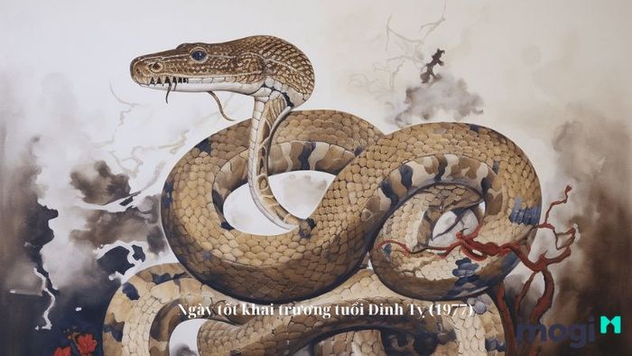 Xem ngày khai trương cho tuổi Đinh Tỵ (1977)