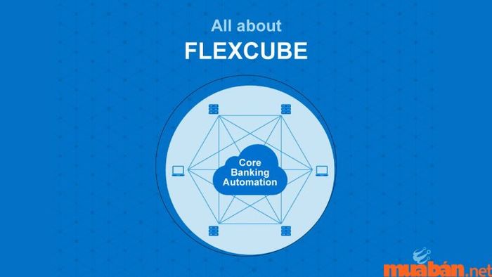 Hệ thống I-flex