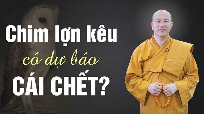 Tiếng Chim Lợn Kêu