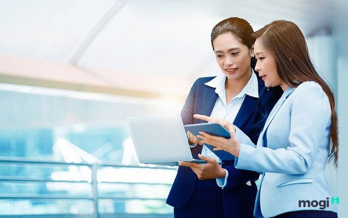 Tử vi tuổi Mão 1987 nữ mạng năm 2024