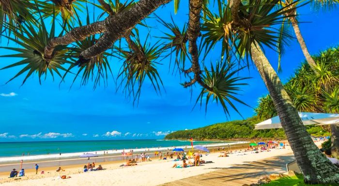 Noosa’s beaches are nothing short of stunning. This charming city in South Queensland is definitely worth a visit.