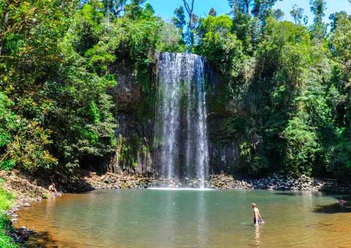 Millaa Millaa Falls is just one of the many incredible sights waiting for you in the Atherton Tablelands.