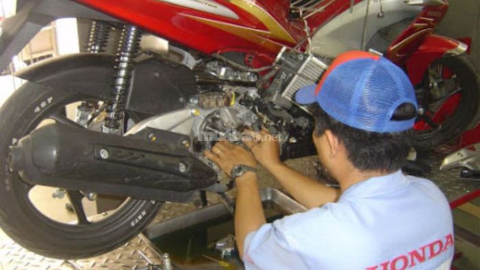 Vấn đề ở phần đầu bò