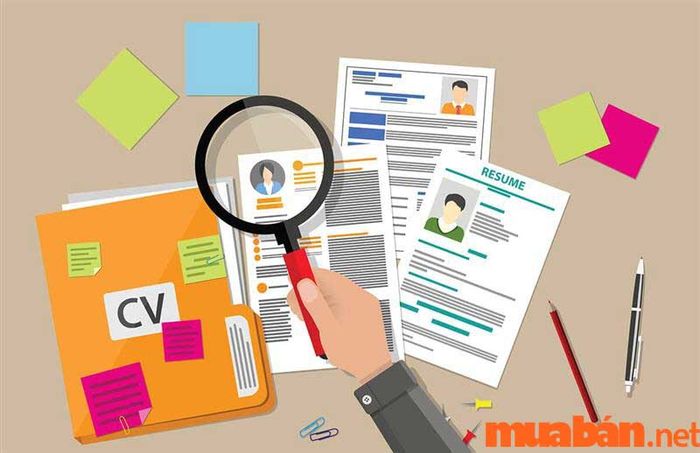 CV tiếng Anh