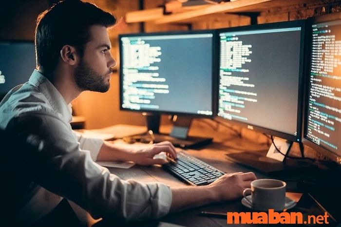 Lập trình là gì?