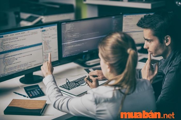 Lập trình là gì?