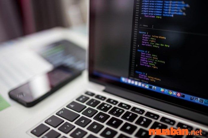 Lập trình là gì?