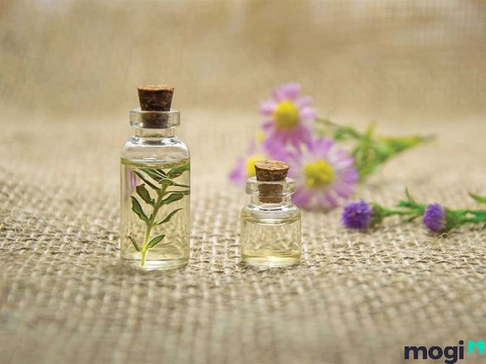 cách đuổi chuột hiệu quả