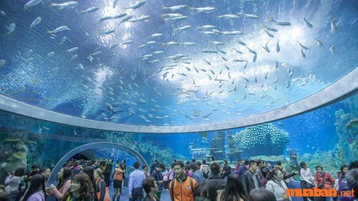 Viện Hải dương học Nha Trang