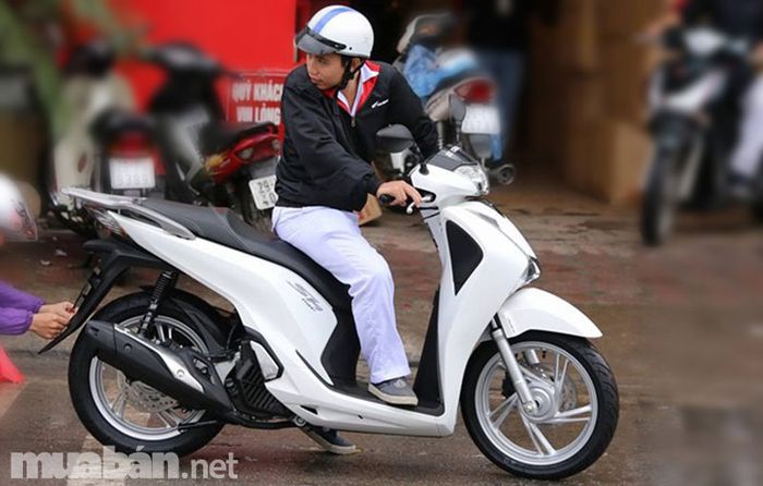SH nhập khẩu cũ, đặc biệt là mẫu SH 150i, được đánh giá cao hơn so với phiên bản 125i, đồng thời giá thành cũng cao hơn.