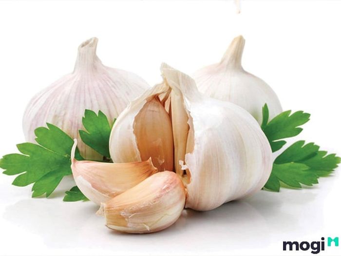 Phương pháp đuổi chuột hiệu quả