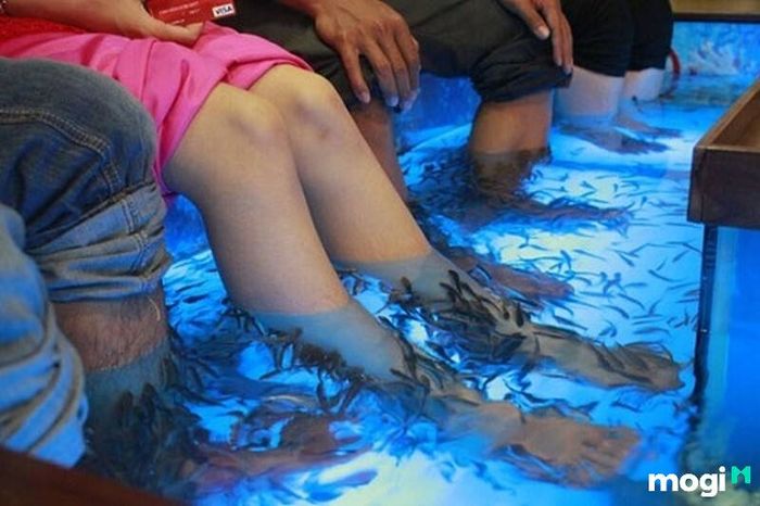 Suối Mơ Đồng Nai