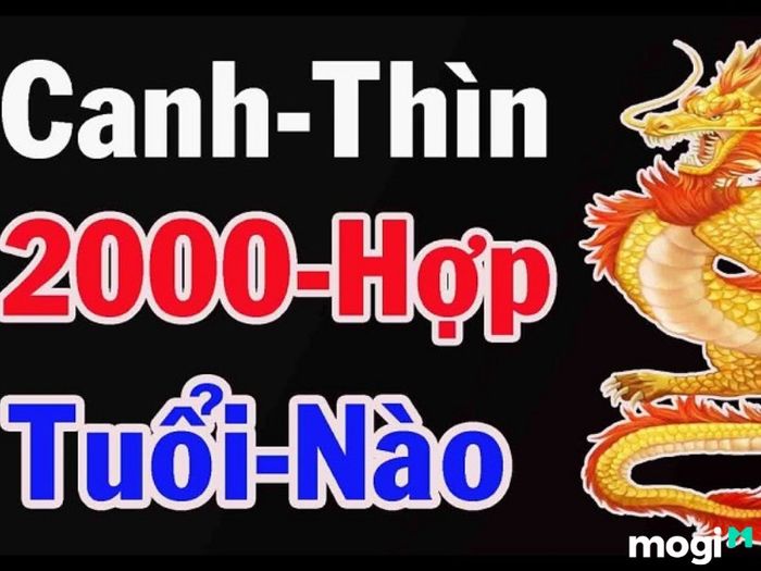 Sinh năm 2000 hợp với tuổi nào?