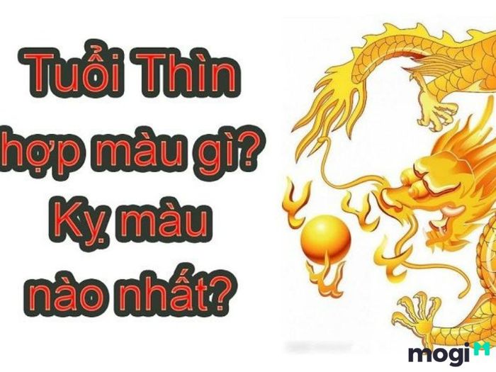 Sinh năm 2000 kỵ màu gì?