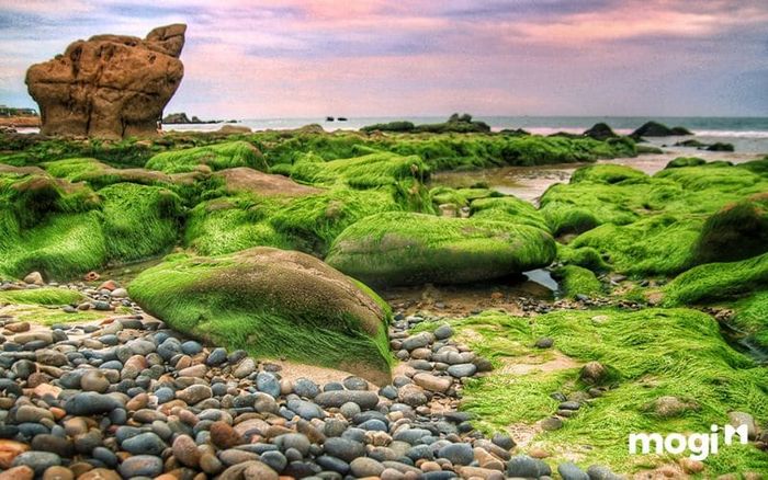 Mũi Né có gì chơi? Đây là câu hỏi của rất nhiều du khách, và nếu bạn đang tìm kiếm một điểm đến thú vị vào mùa hè, bãi đá Cổ Thạch là một lựa chọn không thể bỏ qua.
