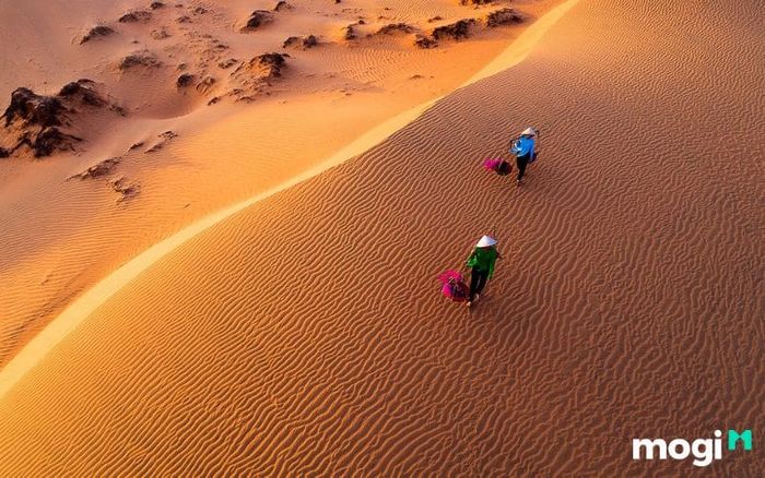 Mũi Né có gì chơi vừa vui vừa đẹp? Đừng bỏ qua Đồi Cát Bay!