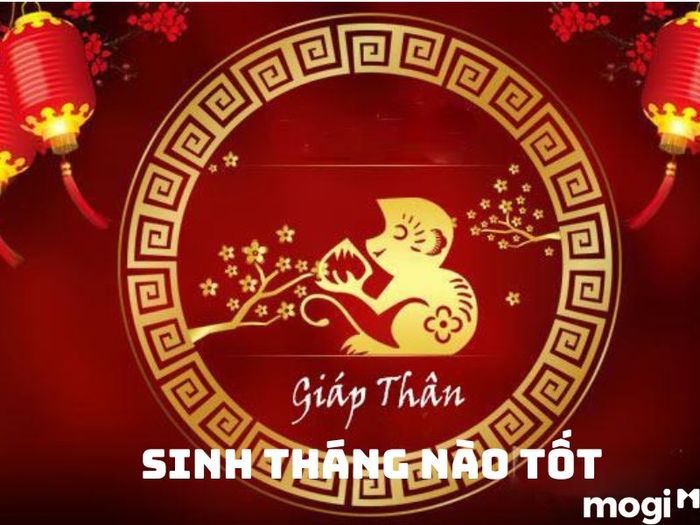 Bạn muốn biết người sinh năm 2004 mệnh gì và tháng sinh nào là tốt nhất?