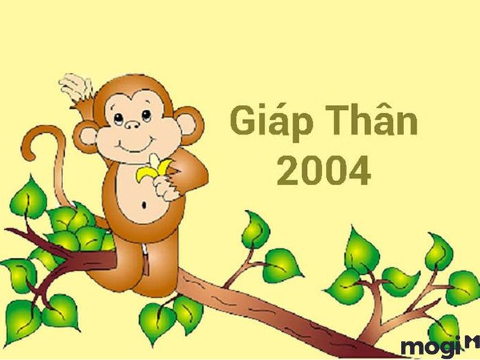 Người sinh năm 2004 thuộc mệnh gì và tháng nào trong năm sẽ mang lại vận mệnh tốt nhất?