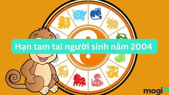 Sinh năm 2004 mệnh gì và ảnh hưởng của hạn tam tai đối với người tuổi Giáp Thân