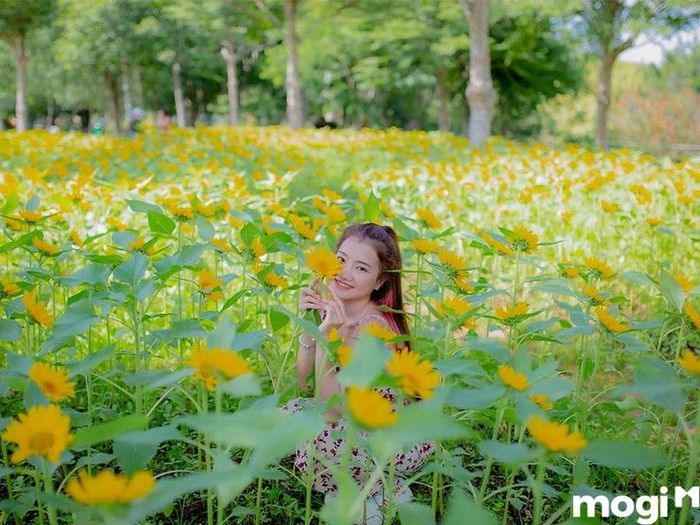 Suối Mơ Đồng Nai