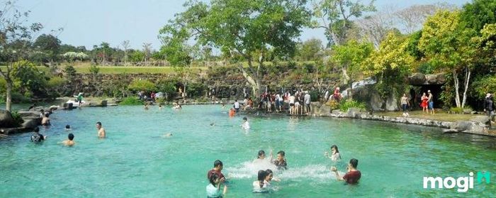 Suối Mơ Đồng Nai