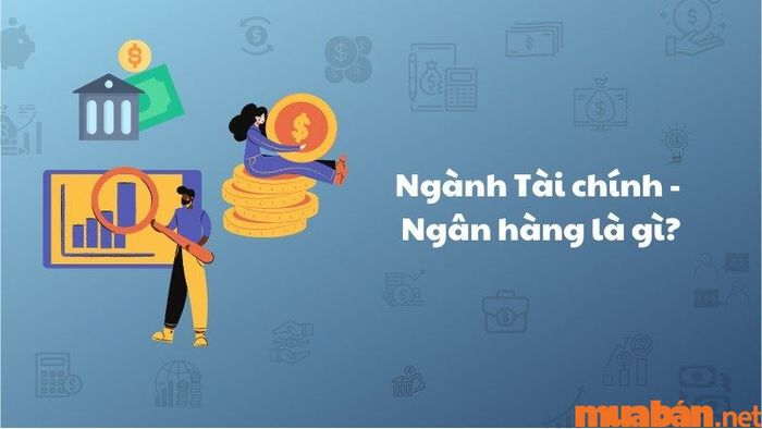 Tài chính Ngân hàng là gì? Và sau khi học ngành này, bạn sẽ làm gì?