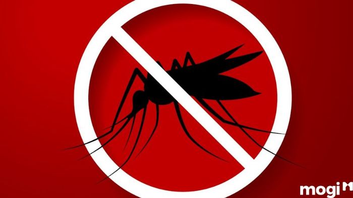 Ngày Thế giới Phòng chống Sốt rét – 25/4