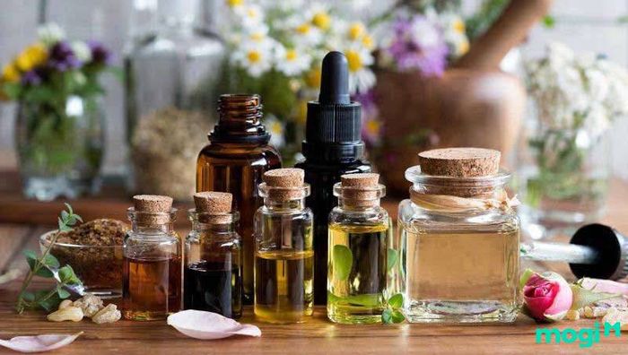 Quà tặng cô giáo nhân dịp 20/11