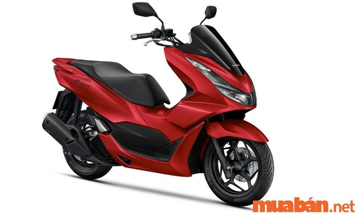 Honda PCX – dòng xe thể hiện phong cách cá nhân mạnh mẽ, được yêu thích bởi những ai đam mê sự khác biệt.