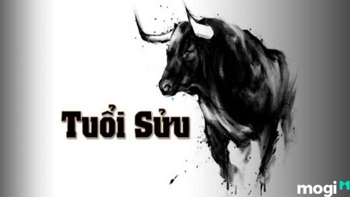 Phân tích chi tiết tử vi tuổi Sửu 2024, sức khỏe