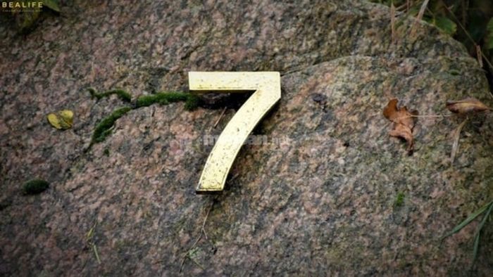 Thần số học số 7