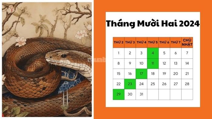 Ngày tốt mua xe tháng 12 năm 2024 cho người tuổi Tỵ
