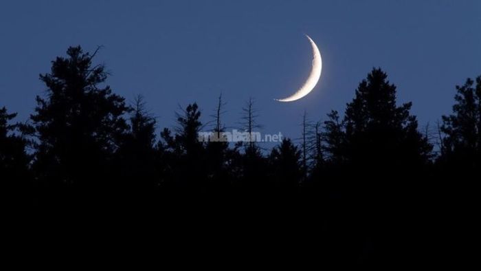 Mặc dù bạn chọn ngày tốt để cắt tóc trong tháng 10 năm 2024, nhưng vẫn nên tránh thực hiện việc này vào buổi tối.