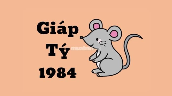 Người tuổi Giáp Tý 1984 thuộc mệnh gì?