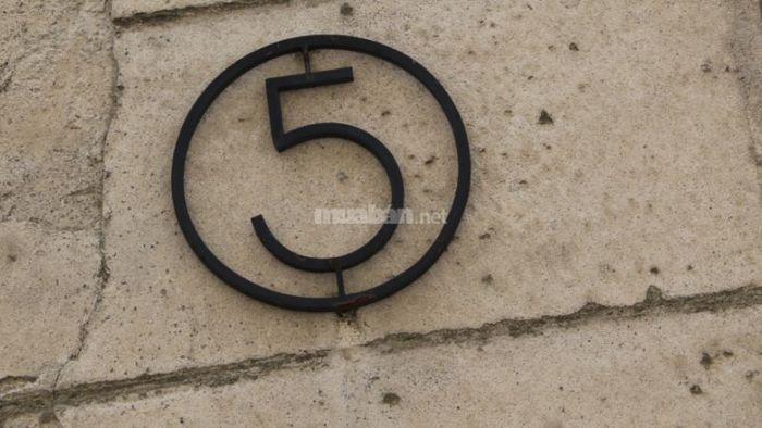 Thần số học số 5