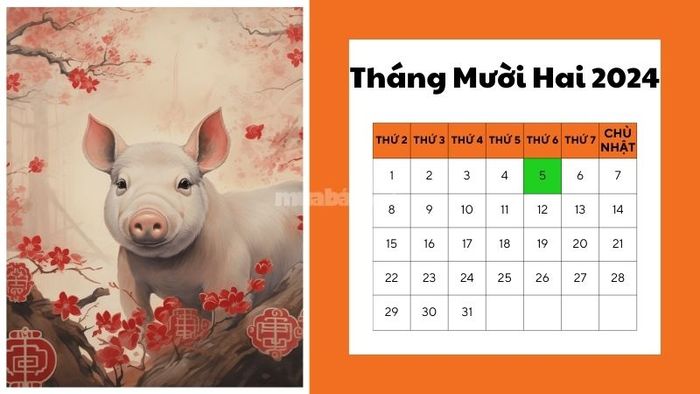 Ngày tốt mua xe tháng 12 năm 2024 cho người tuổi Hợi
