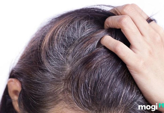 Mơ Thấy Cắt Tóc Bạc