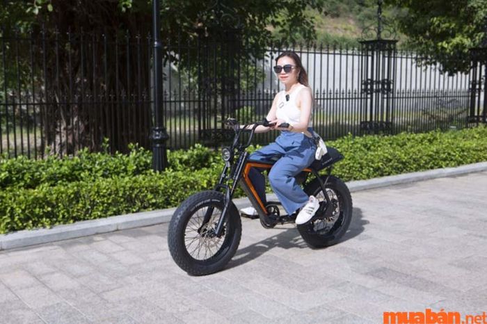 Xe đạp điện Vinfast sở hữu thiết kế sang trọng, tinh xảo và đầy đẳng cấp, thể hiện rõ chất lượng vượt trội của thương hiệu Việt.
