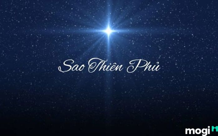 Sao Thiên Phủ mang đến phúc thọ tốt