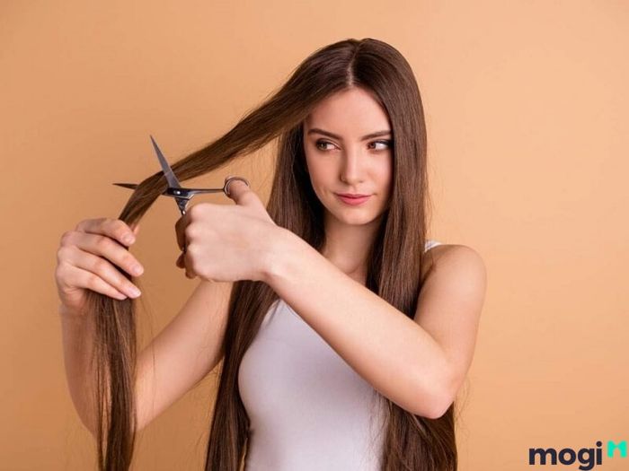 Mơ thấy mình tự cắt tóc là dấu hiệu cho thấy bạn sẽ gặp phải những rắc rối trong công việc hay đời sống cá nhân. Những lo lắng và căng thẳng sẽ đổ dồn vào bạn, vì thế cần phải thật cẩn trọng.