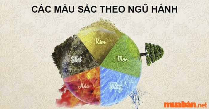 Biết mệnh Thổ hợp màu gì sẽ giúp bạn lựa chọn màu sắc theo ngũ hành phù hợp, mang lại sự hài hòa và may mắn.